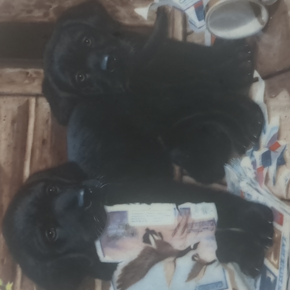 Cabin Fever Puppy Playtime Set Decorative Plate Jim Lamb Vintage 1987 - Picture 5 of 5